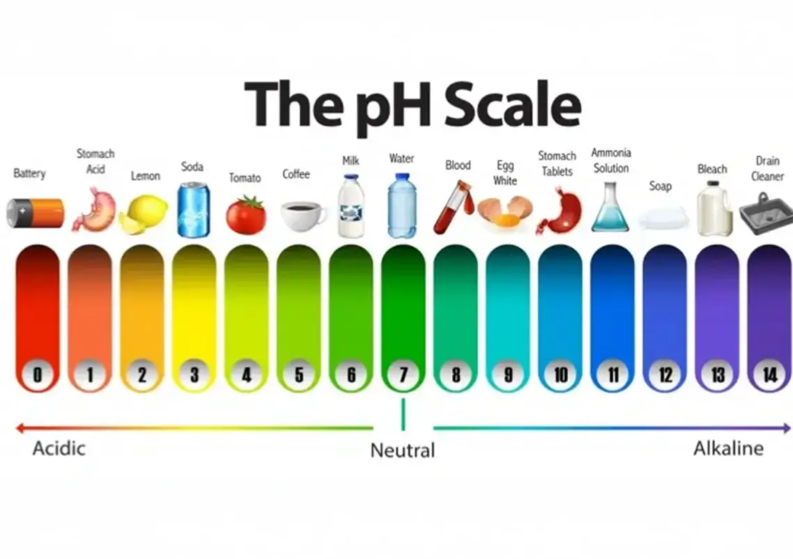 Feb beauty bulletin ph scale blog