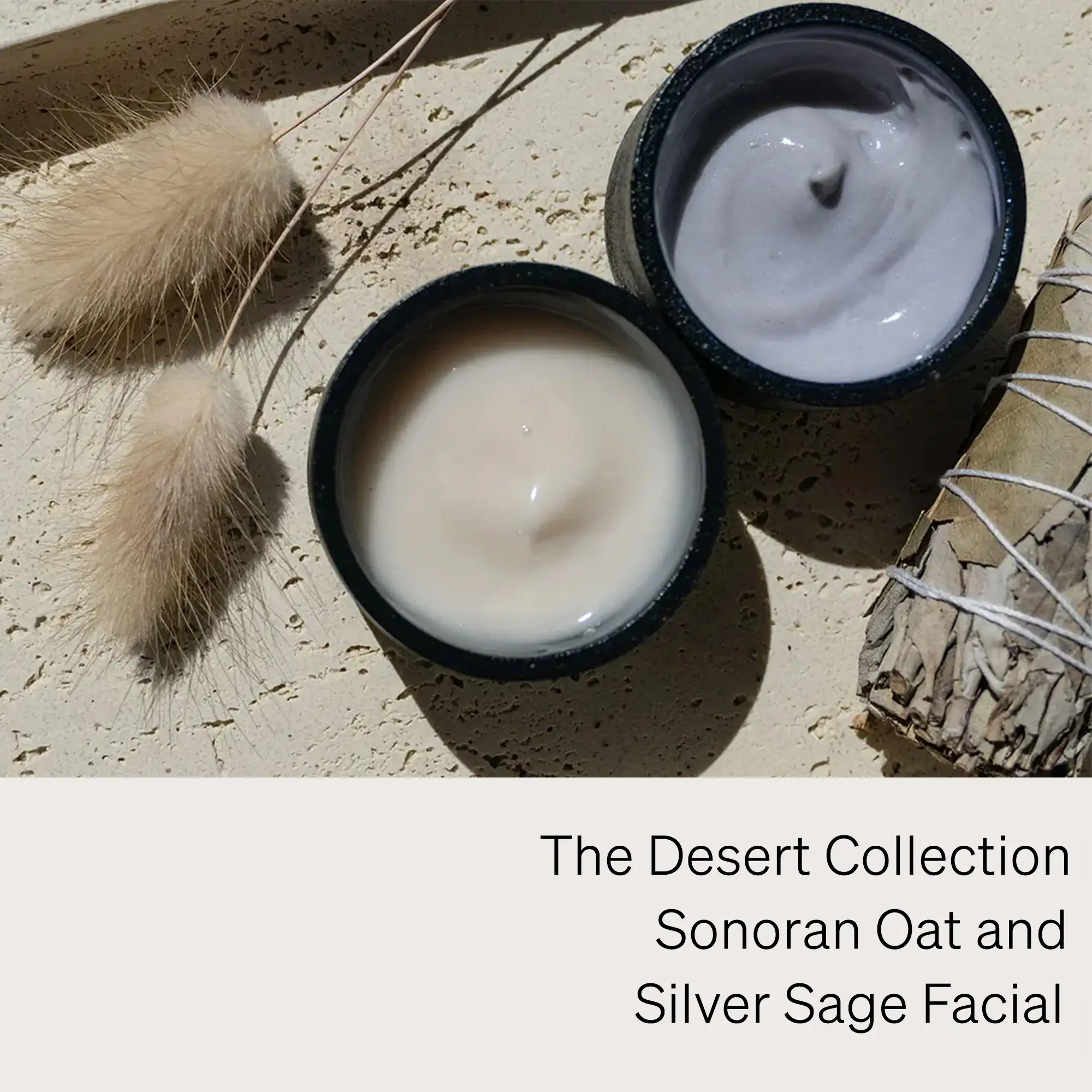Sonoran oat and silver sage event thumbnail